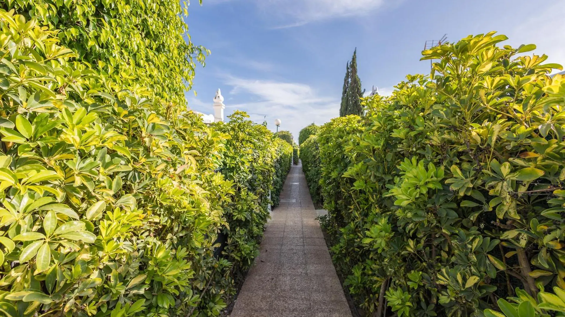Private Solarium Bungalow Garden Μασπαλόμας 0*,  Ισπανία